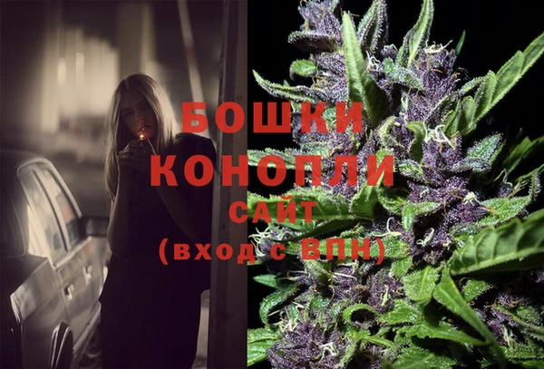 индика Козельск