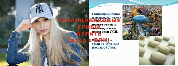 дмт Покров