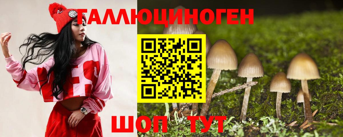 Краснодар  Галлюциногенные грибы ЛСД  Псилоцибиновые грибы мухоморы  Вход с VPN 